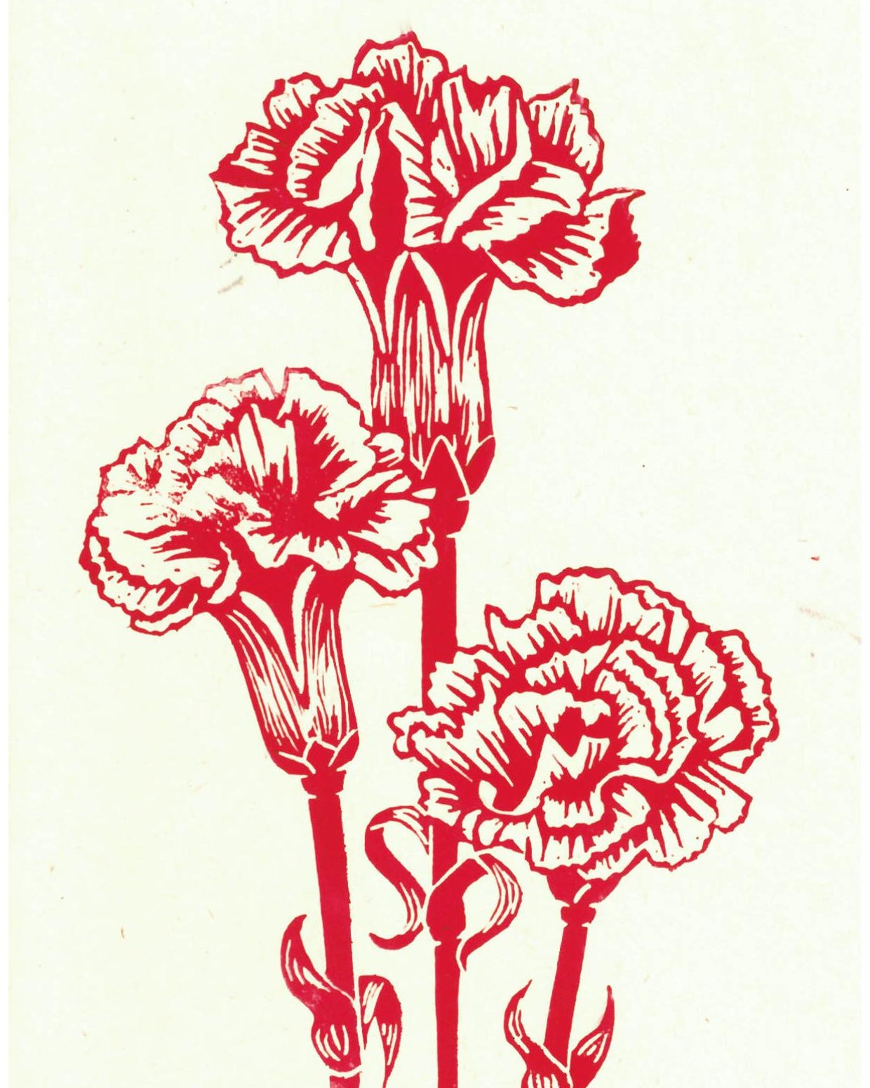 A print of carnation flowers, in red.